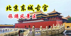 大鸡巴狠操大波妺中国北京-东城古宫旅游风景区